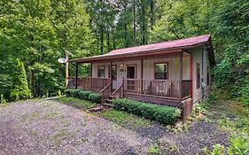 Bryson City Cabin In Smoky Mountains With Hot Tub!